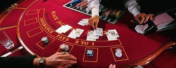 Casino Gaming Experience - Premium Online Casino
