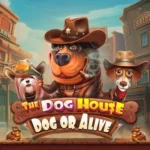 The Dog House - PG Soft Slot Game